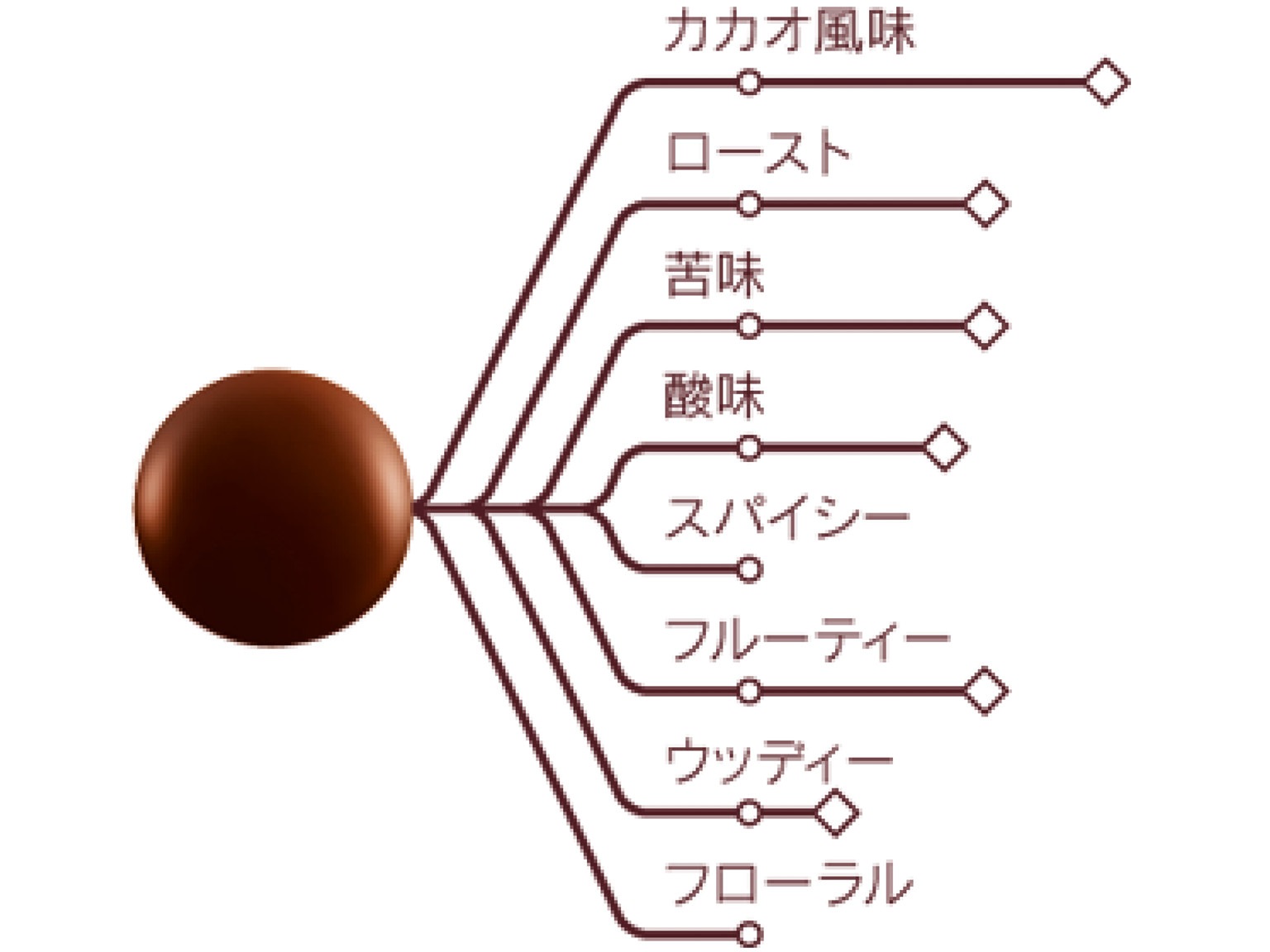 ピストール エクセランス カカオ55% 1kg