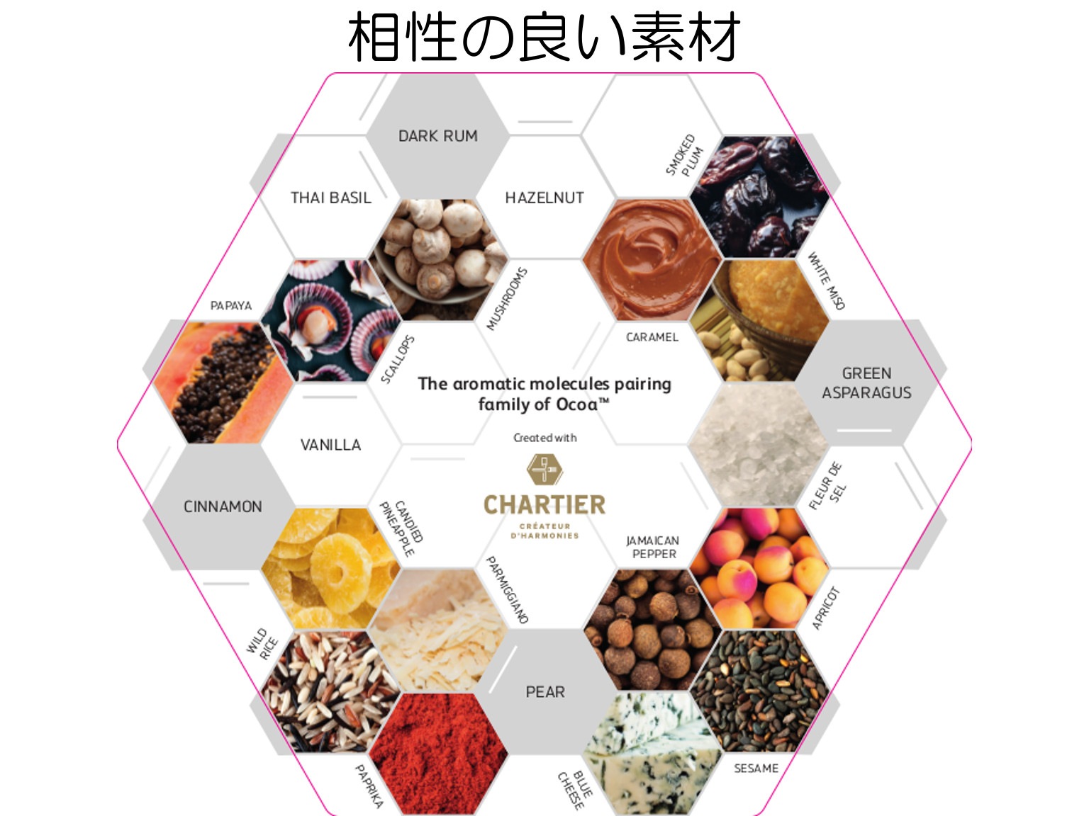 ピストール オコア カカオ70% 1kg