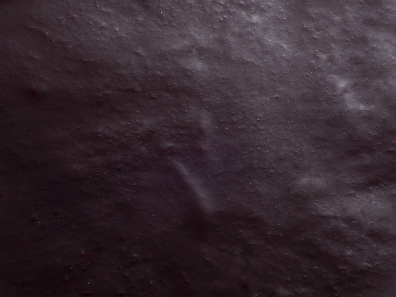 ボワロン ピューレカシス 10kg