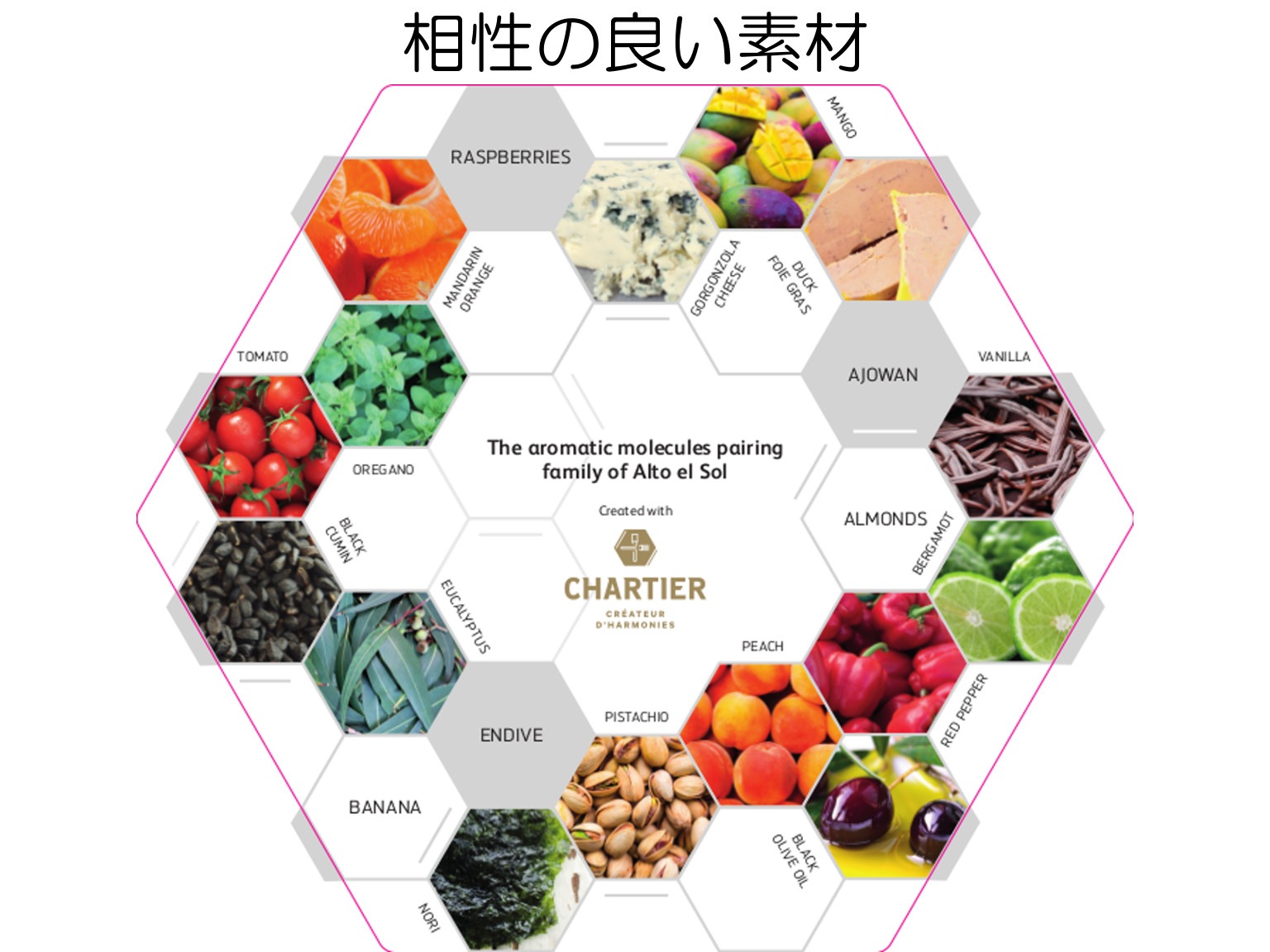 有機ピストール ペルーアルトエルソル カカオ65% 1kg