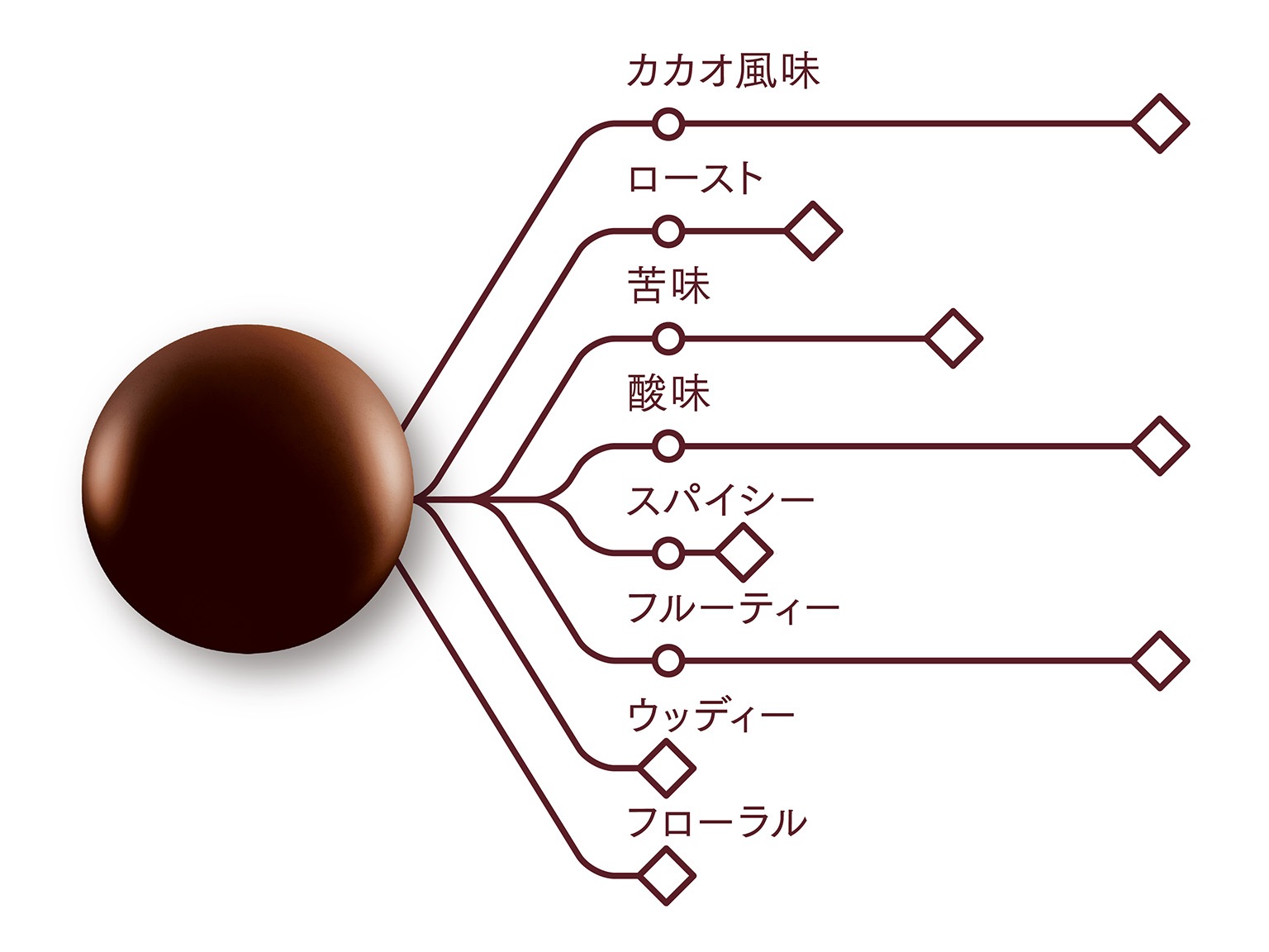 有機ピストール マディロフォロ カカオ65% 1kg