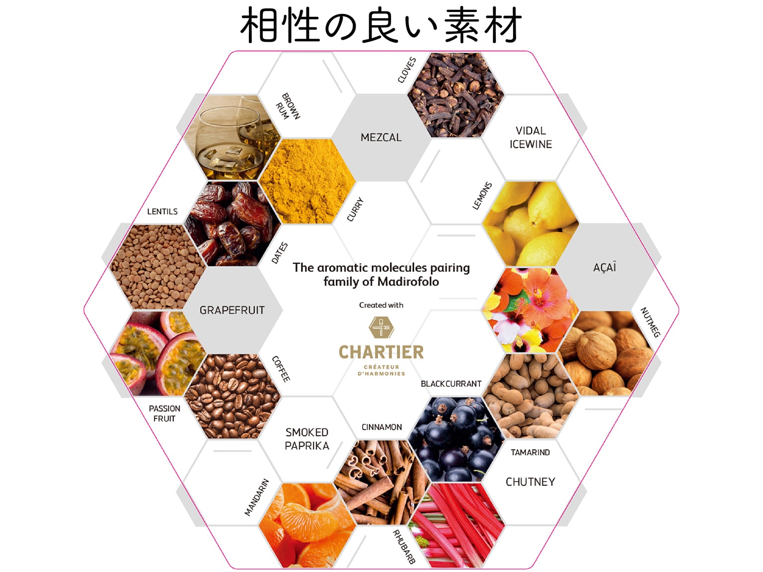 有機ピストール マディロフォロ カカオ65% 1kg