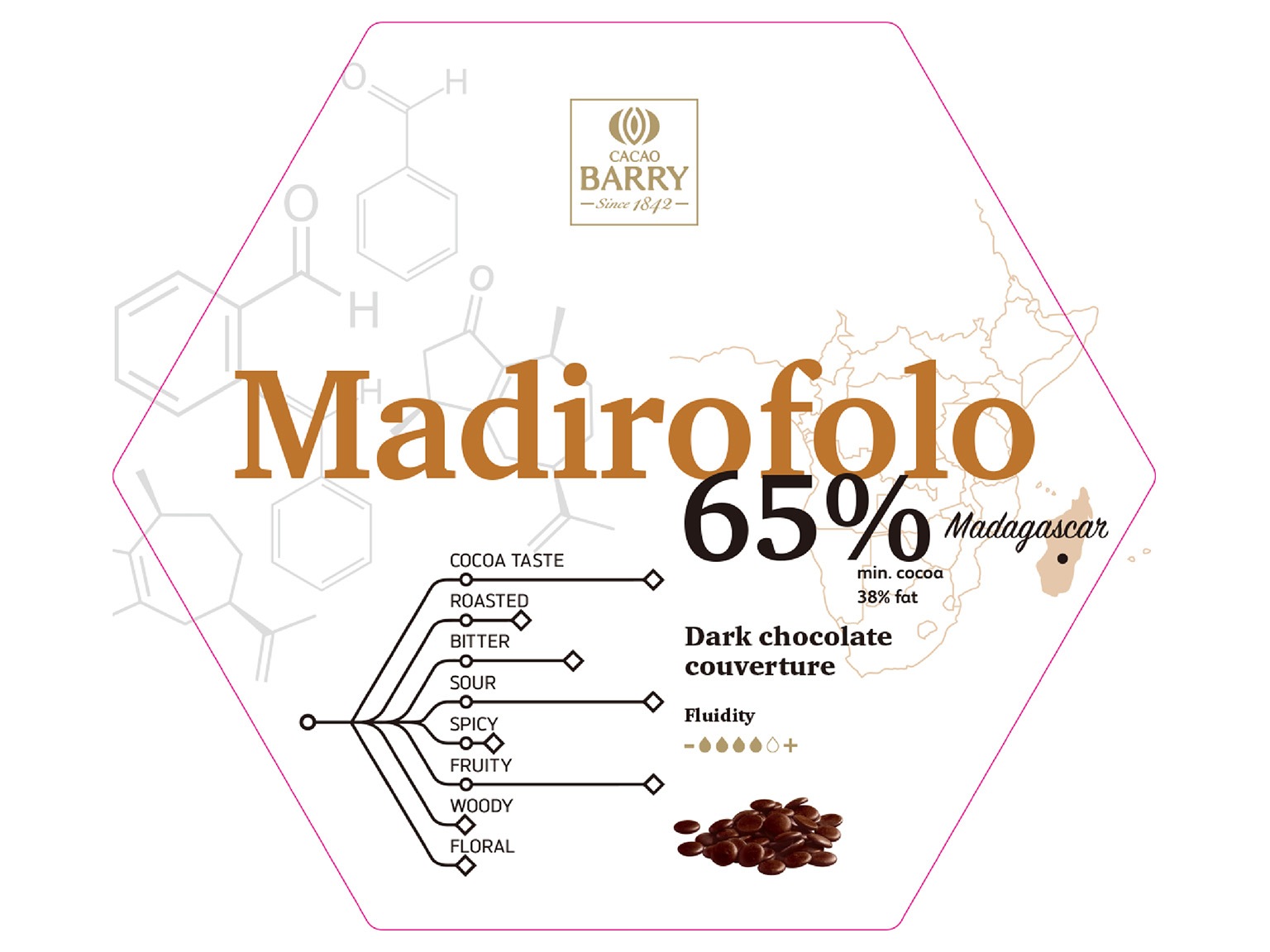 有機ピストール マディロフォロ カカオ65% 1kg