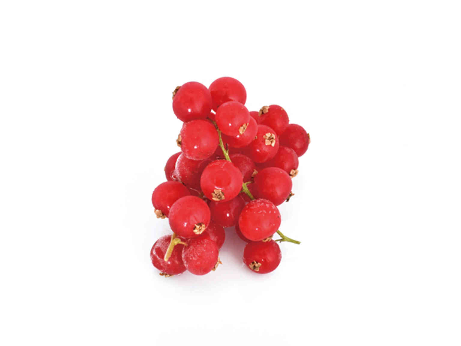 ホール グロゼイユ 1kg