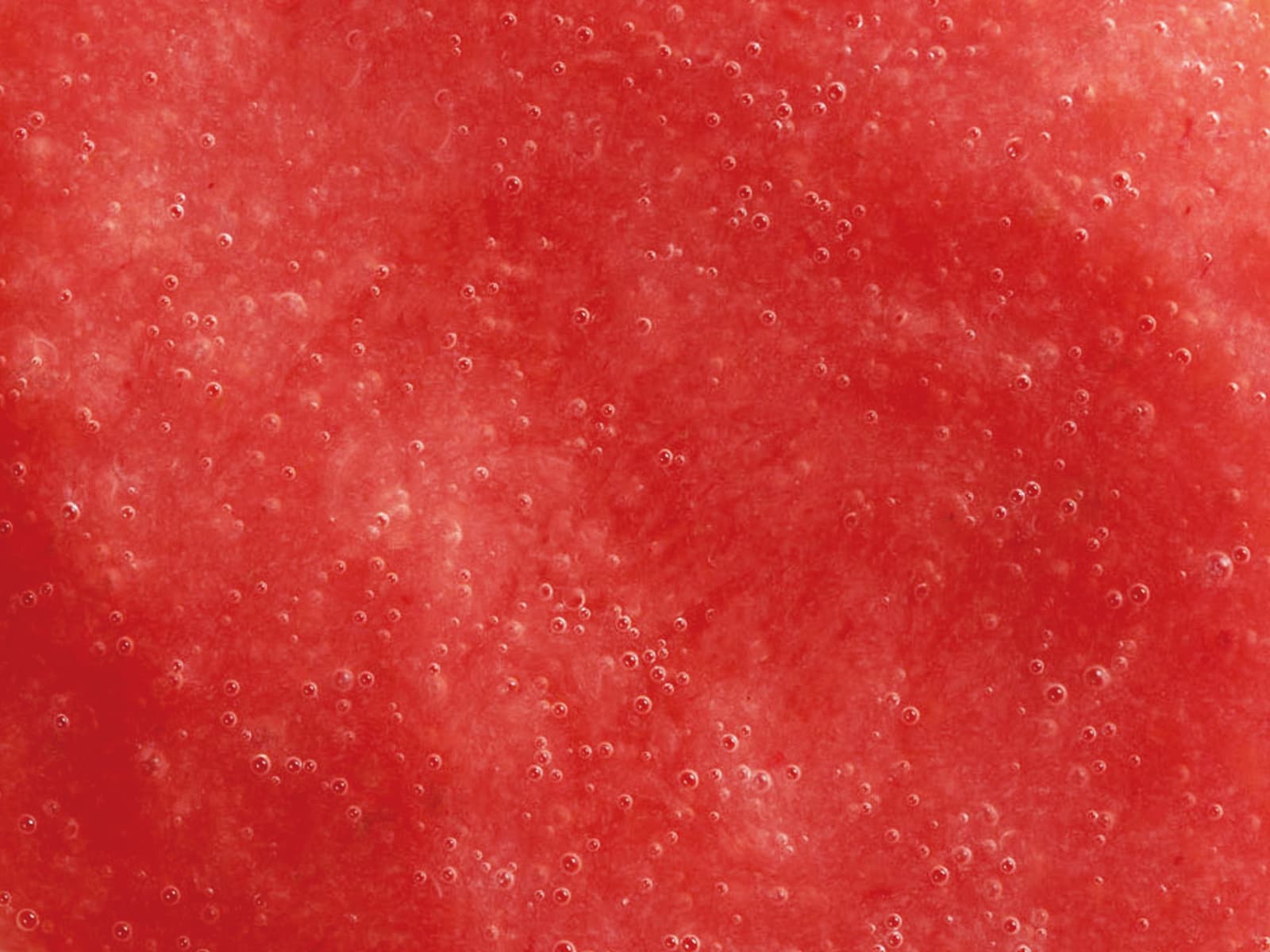 ボワロン ピューレ フレーズ カルパントラ　1kg