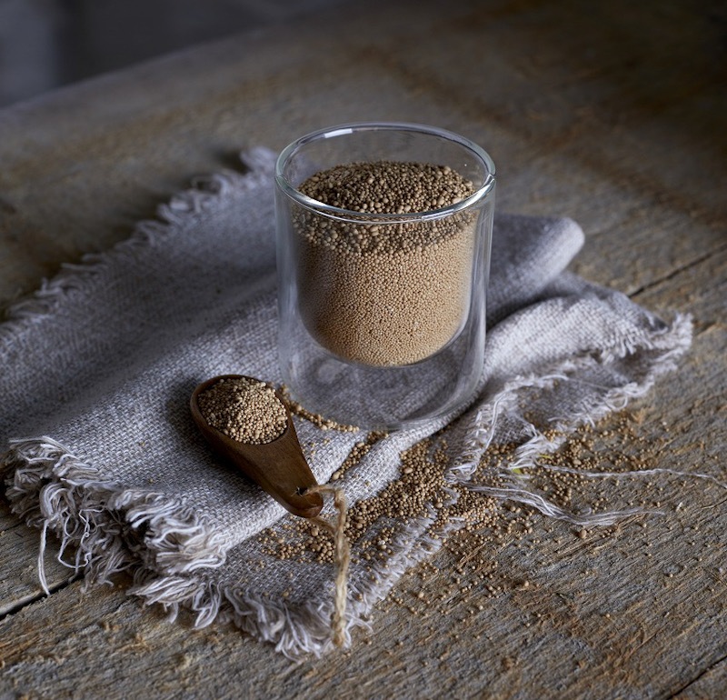 ドライイースト 12.5kg