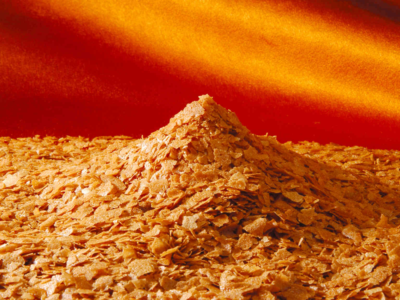 パユテフォユティーヌ 2.5kg