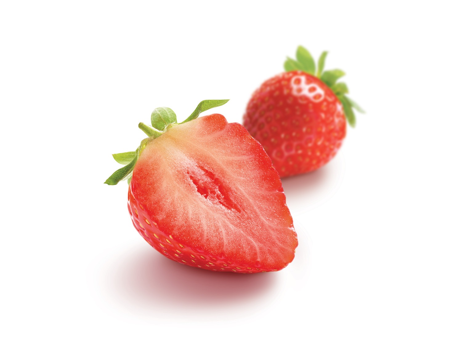 ピューレ フレーズ 10kg