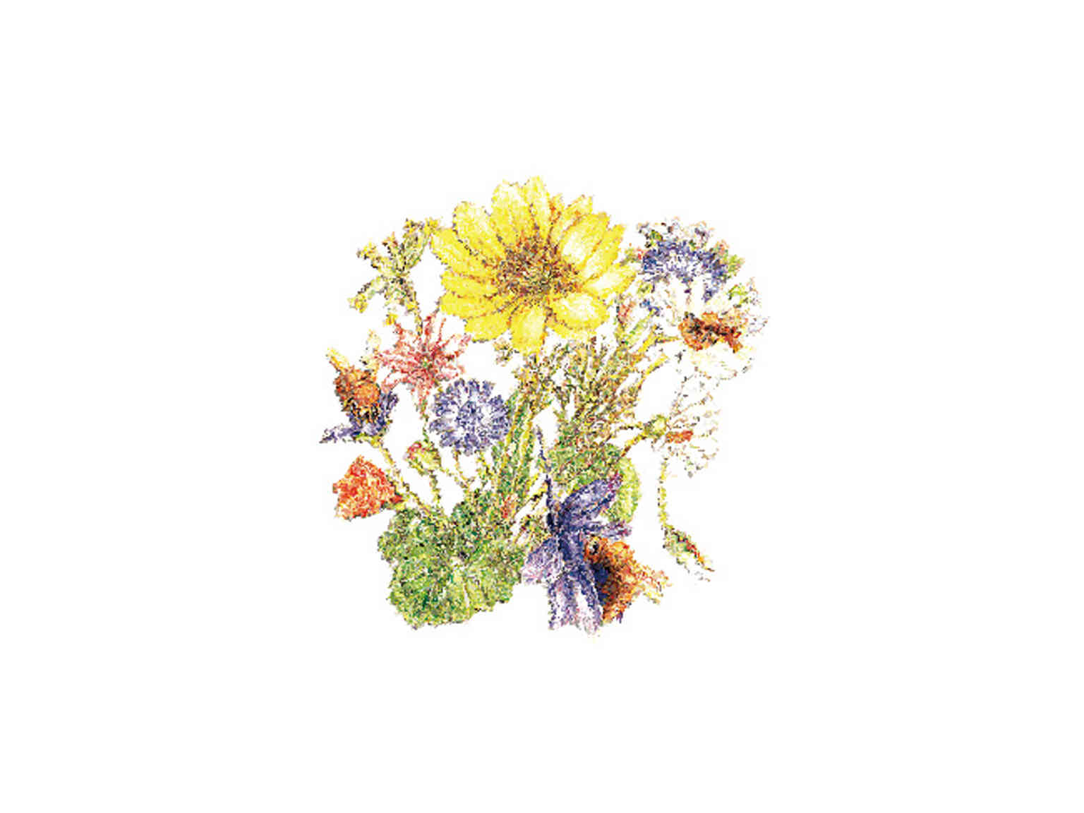 アピディス ハチミツ フルールプランタニエール 3kg