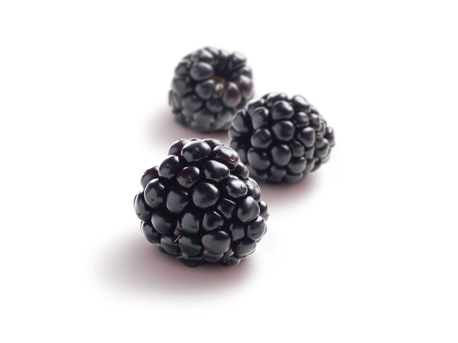 ピューレ ミュール 1kg