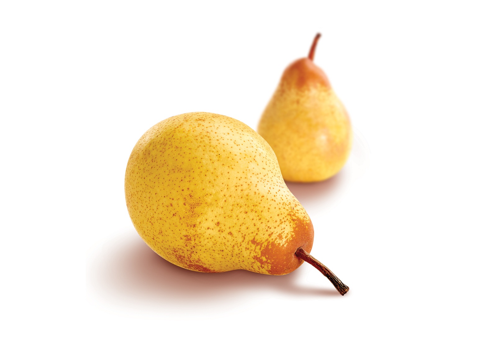 ピューレ ポワール 1kg