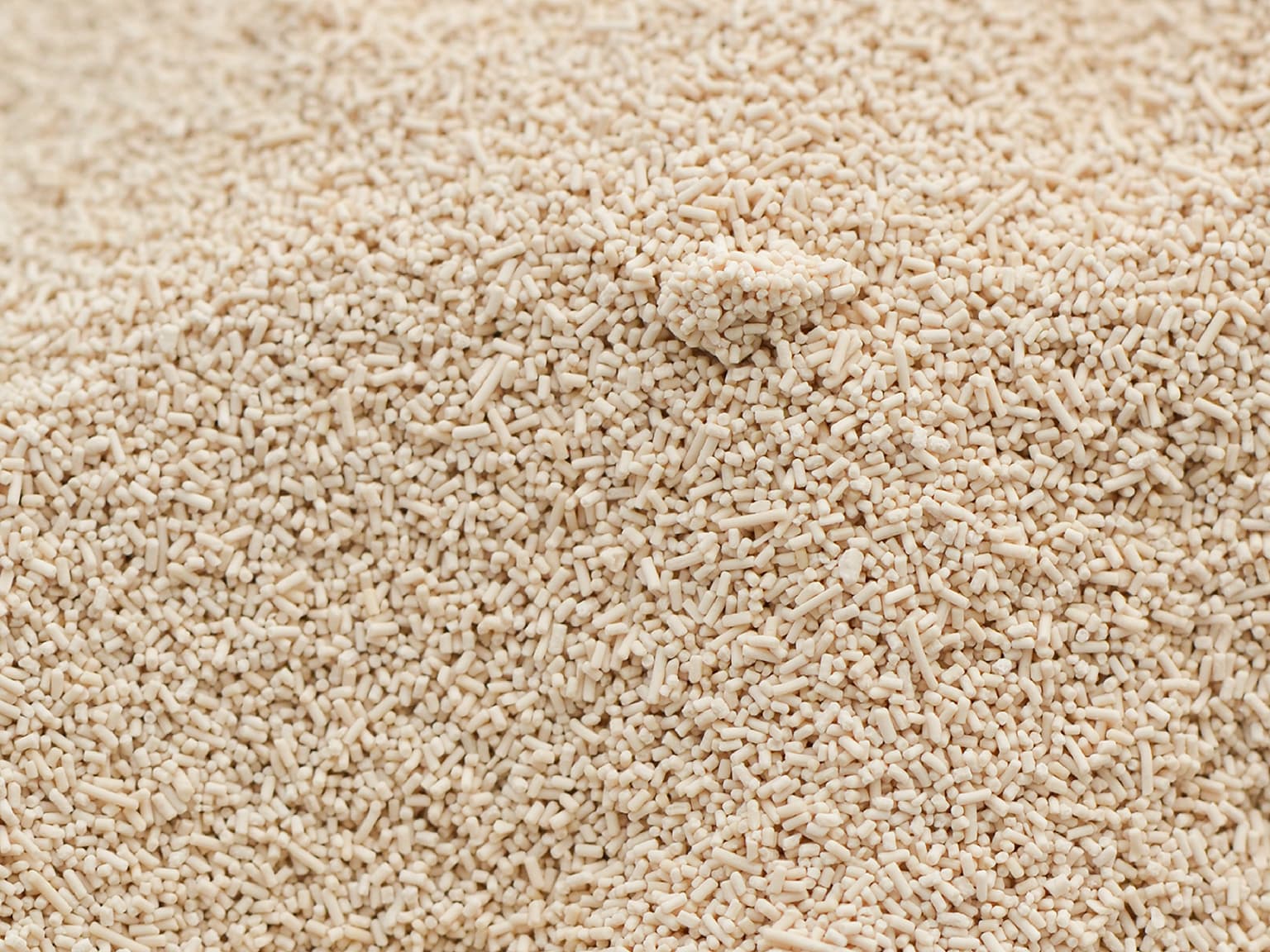 セミドライイースト レッド（冷凍）400g