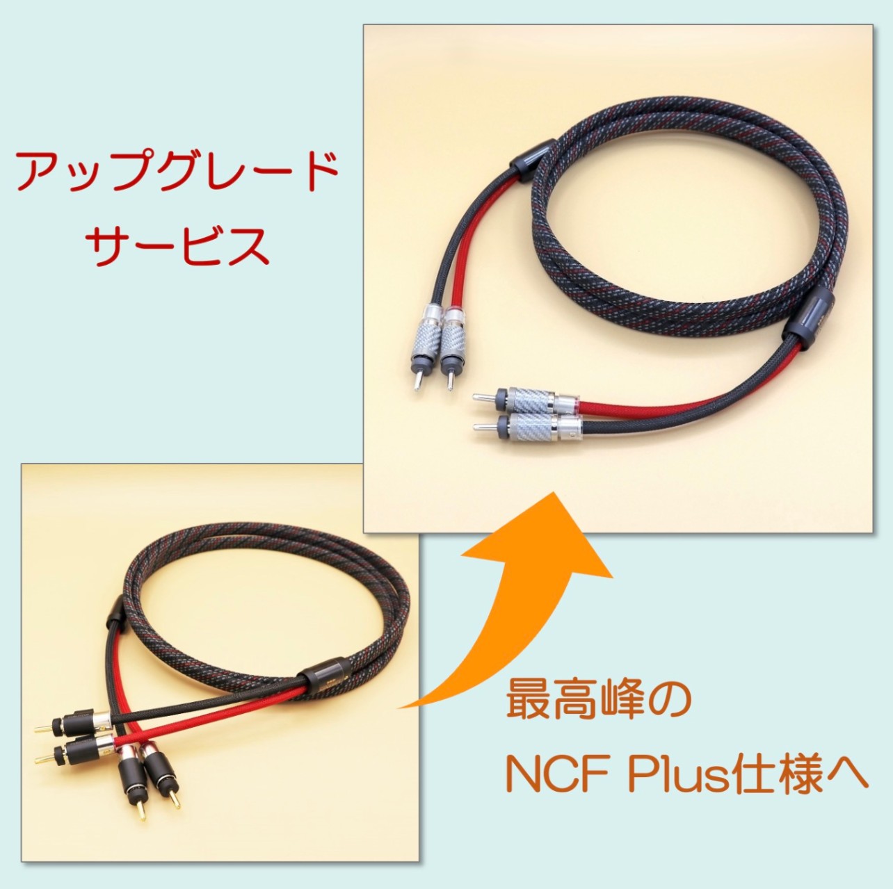 専用　ファビアナフィリッピ　モニーレ　ケープコート アップグレードサービス［スピーカーケーブルMINERVA用