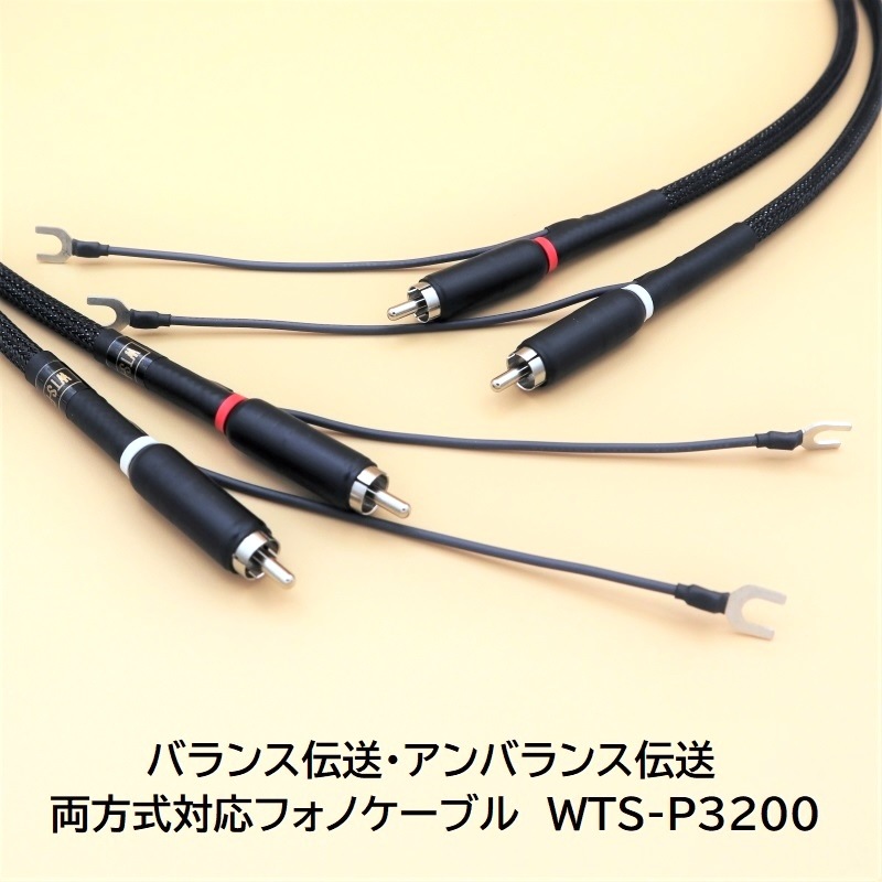 RCA-RCAեΥ֥ WTS-P3200