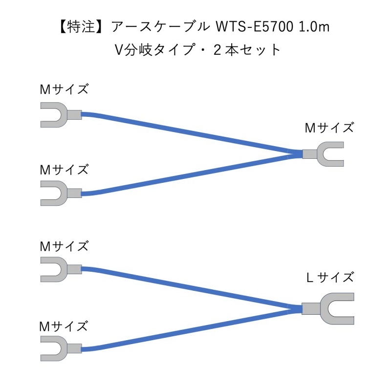 ۥ֥ WTS-E5700Vʬס1.0mܥå