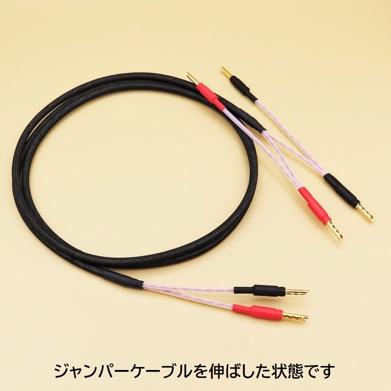 ԡ֥ʥѡ֥η WTS-SP5600