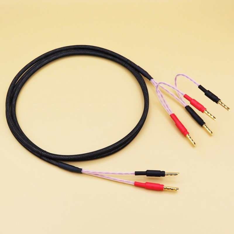 ԡ֥ʥѡ֥η WTS-SP5600