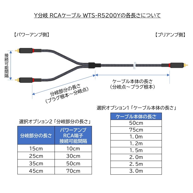 Х׸ YʬRCA֥ WTS-R5200Y