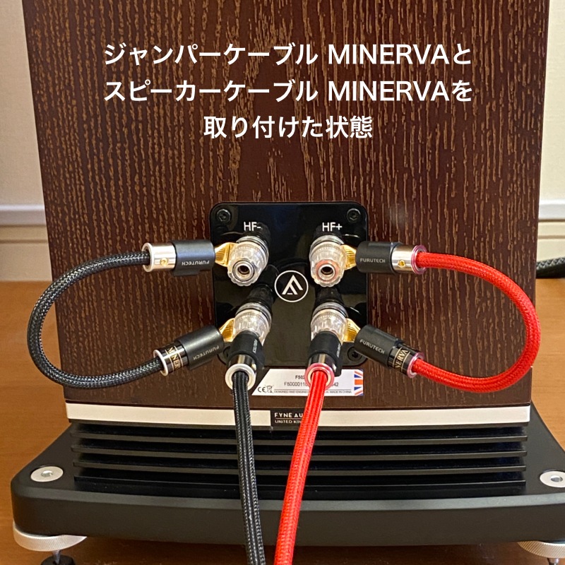 ѡ֥ MINERVAɸǥ