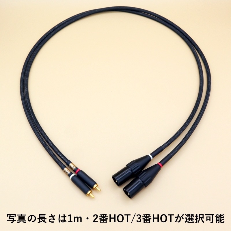 RCAXLRѴ֥2HOT3HOTǽ WTS-RX5000 MK2