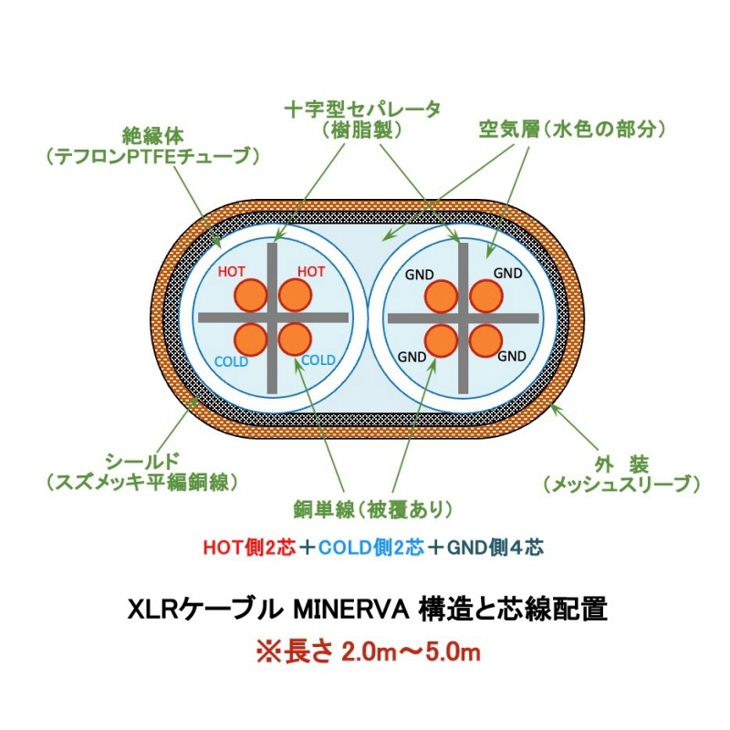 XLR�����֥� MINERVA-NCF �����̥�ǥ롦ɸ��ܹ���