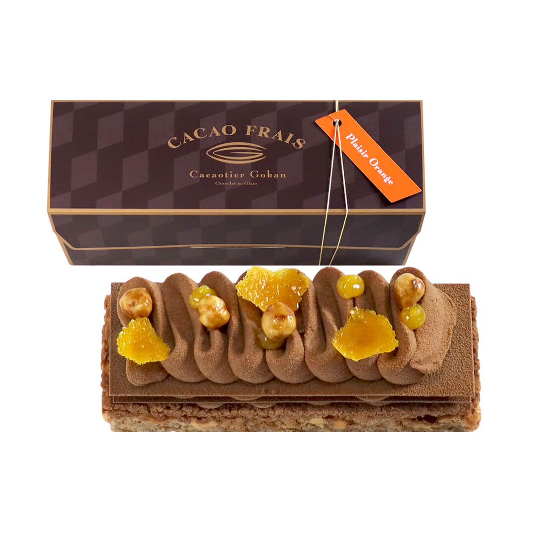 �������ե� �ץ쥸���륪��󥸥�