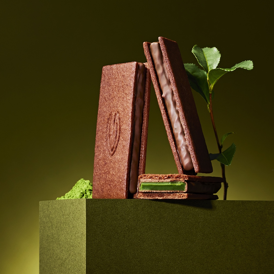 �����������4�����ڥ����ޡ�