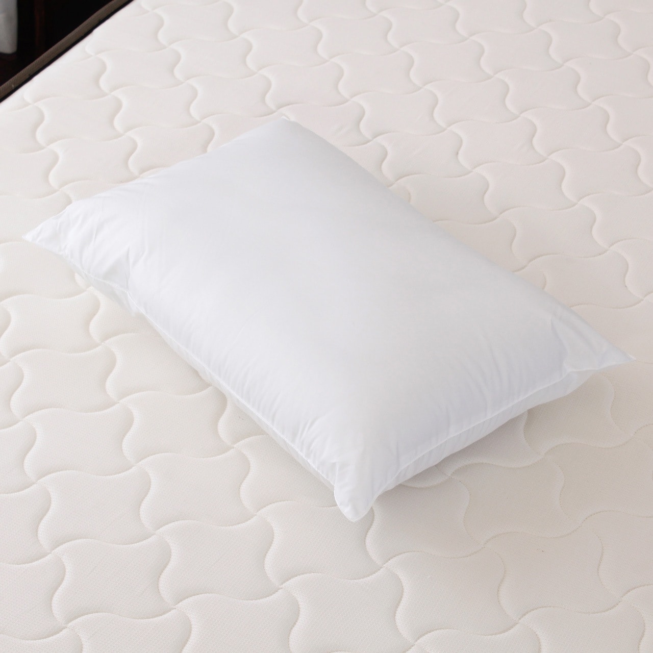 商品イメージ写真