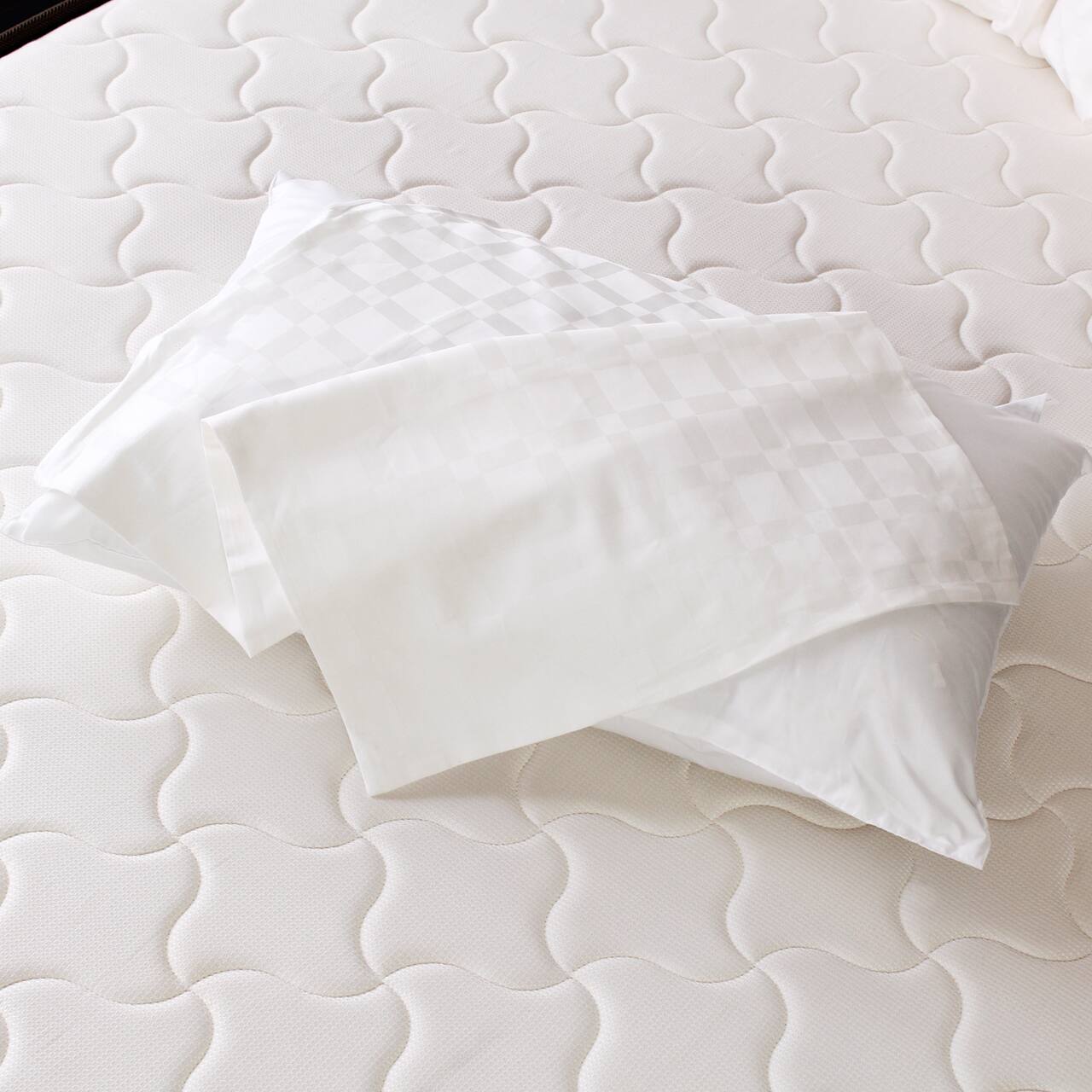 商品イメージ写真