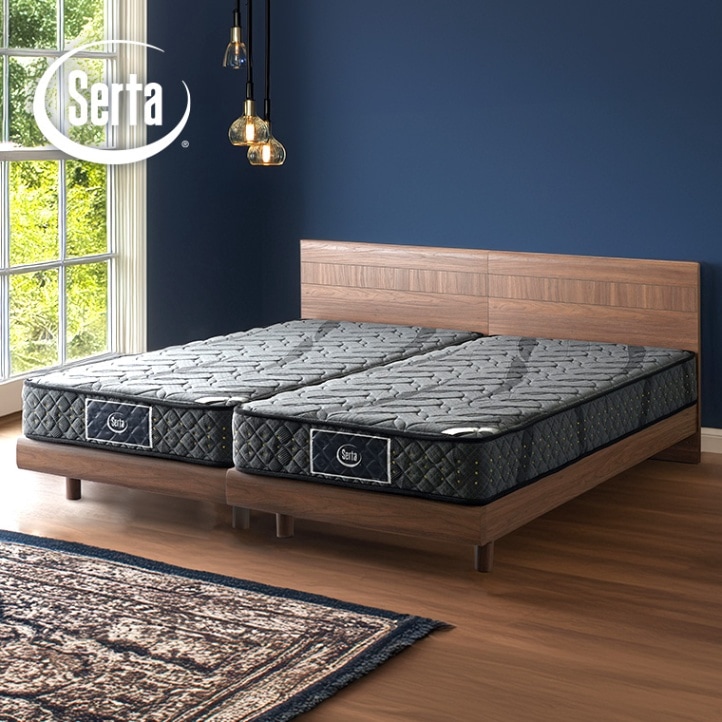 SD＋SDサイズ2台セット】アリウム2231 フラットタイプ アリウム