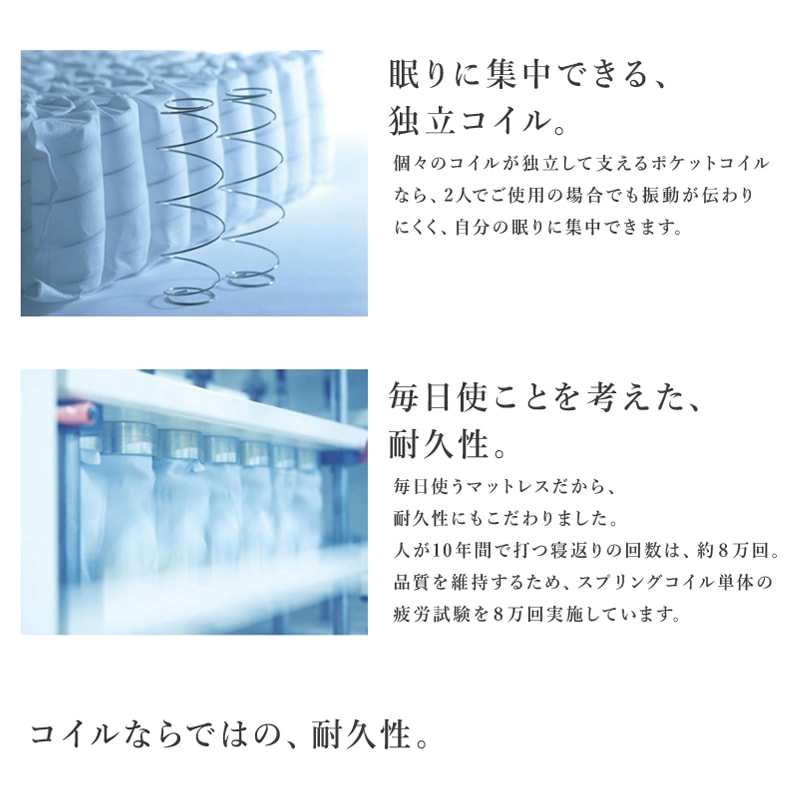 拡大画像