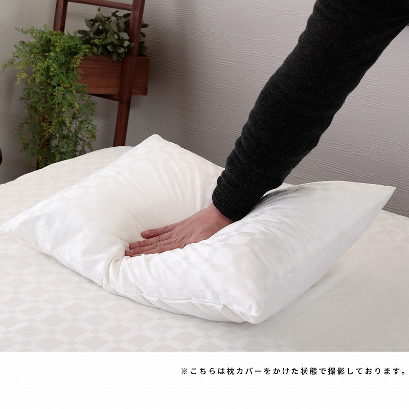 拡大画像