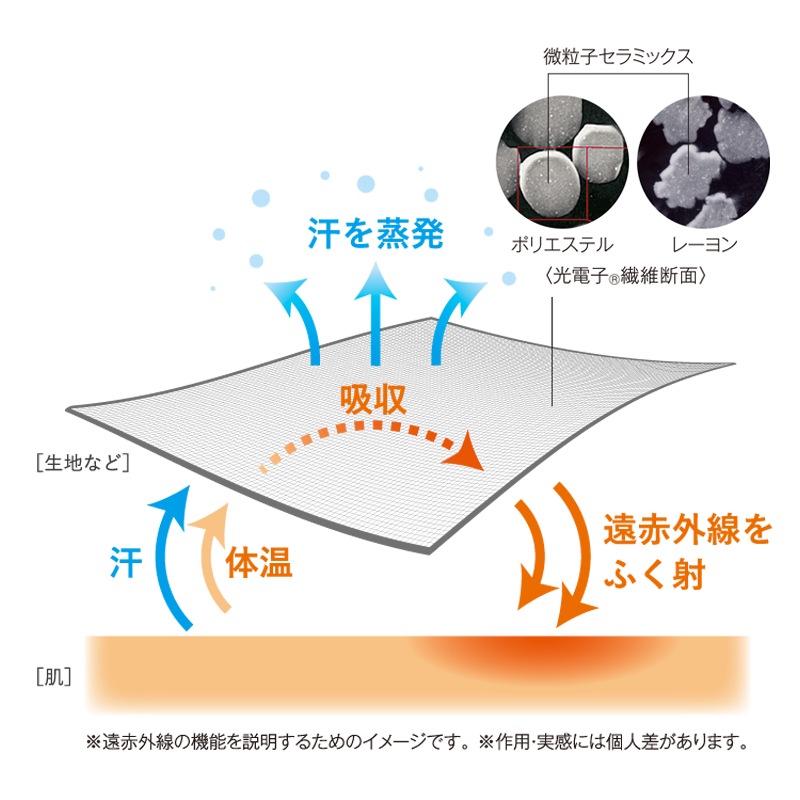 拡大画像