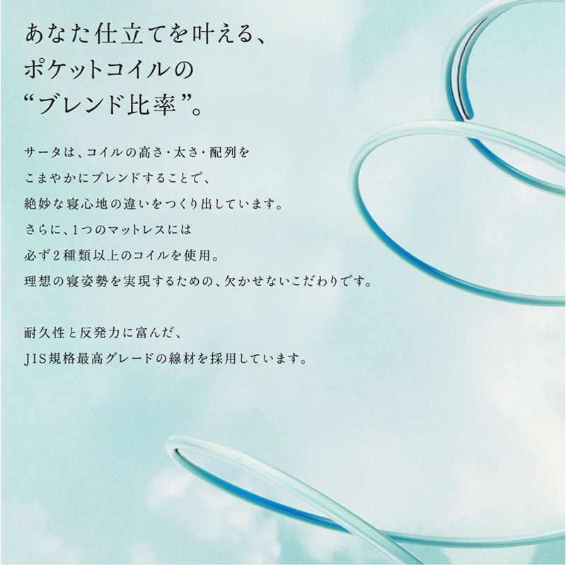 拡大画像