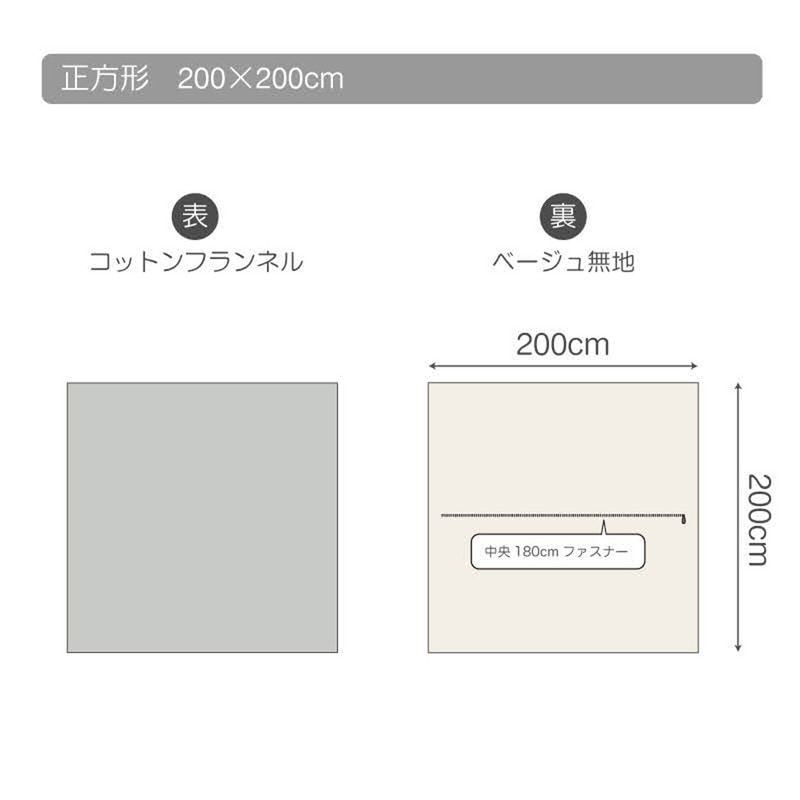 拡大画像