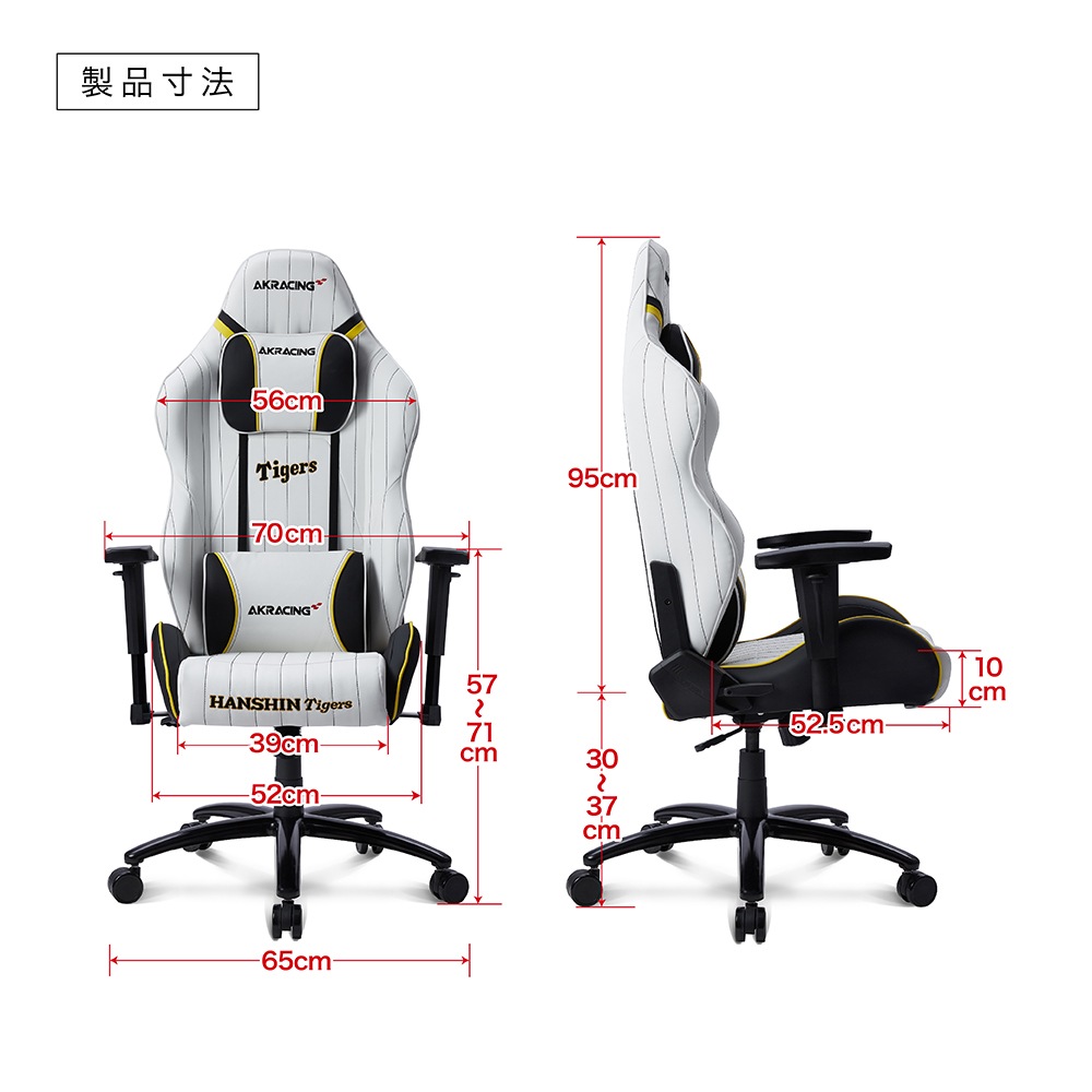 拡大画像