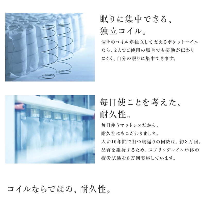 拡大画像