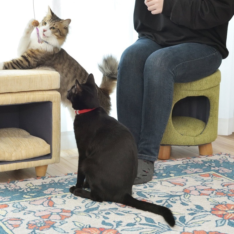 ファブリック・ラウンド型】天然木脚 室内用 / ペットハウススツール