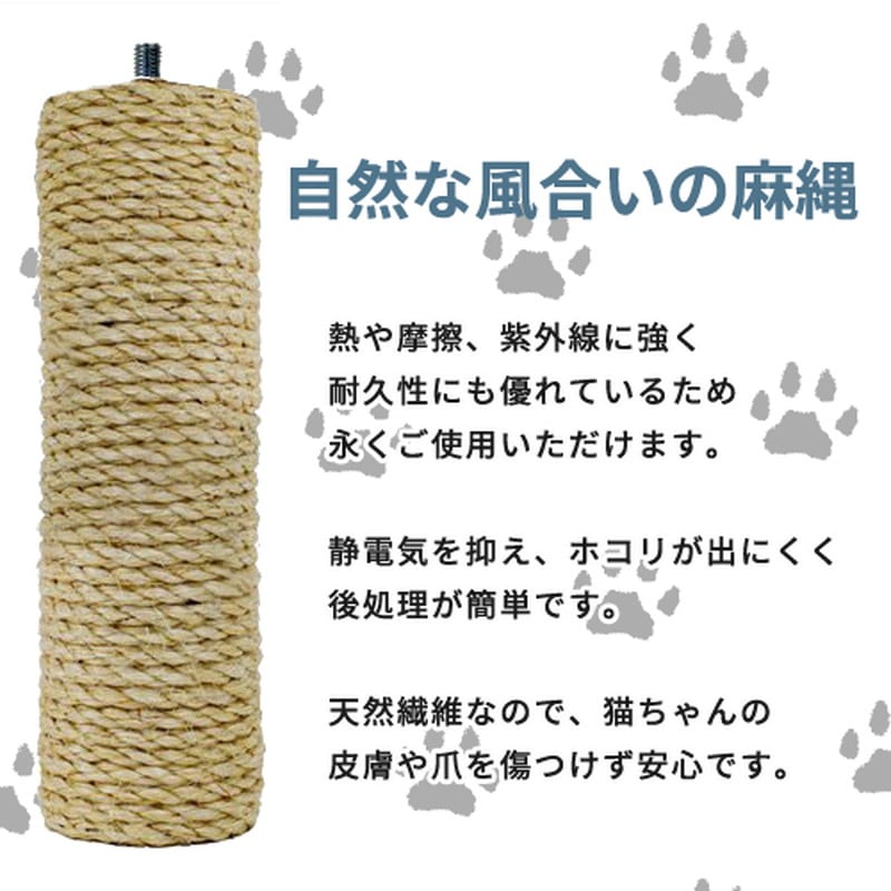 拡大画像