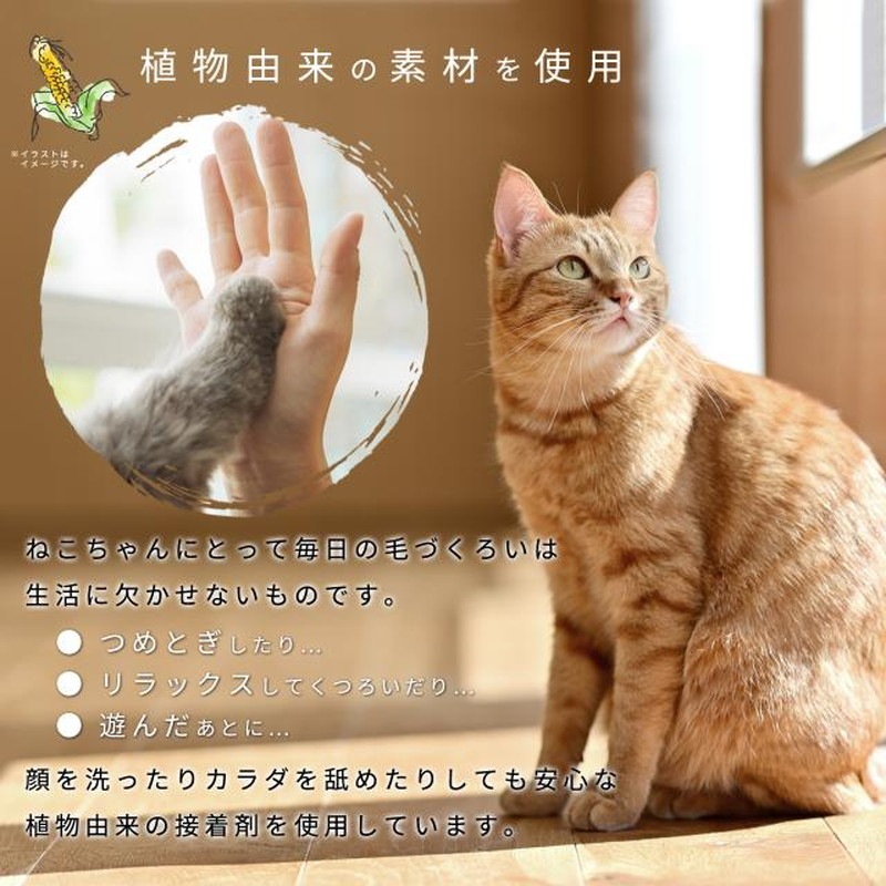 拡大画像