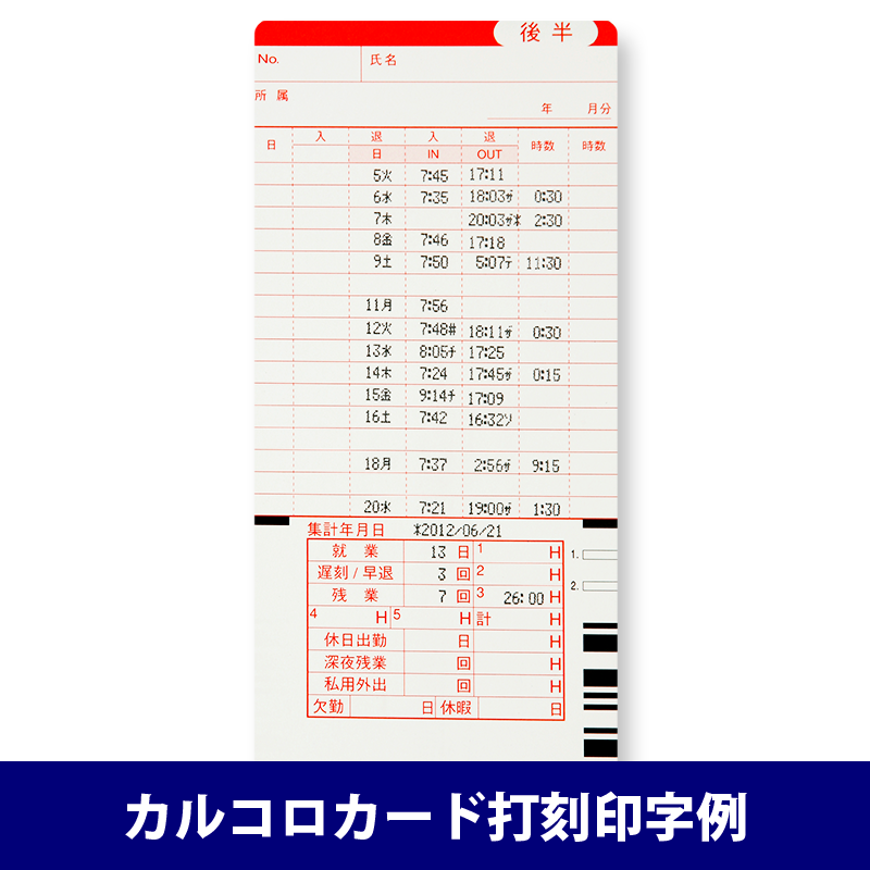 ��NIPPO�ۥ�����쥳������ ���륳��100