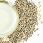 フェンネル 10g単位 量り売り 【 ドライハーブ ハーブティー 】【ポストお届け可】