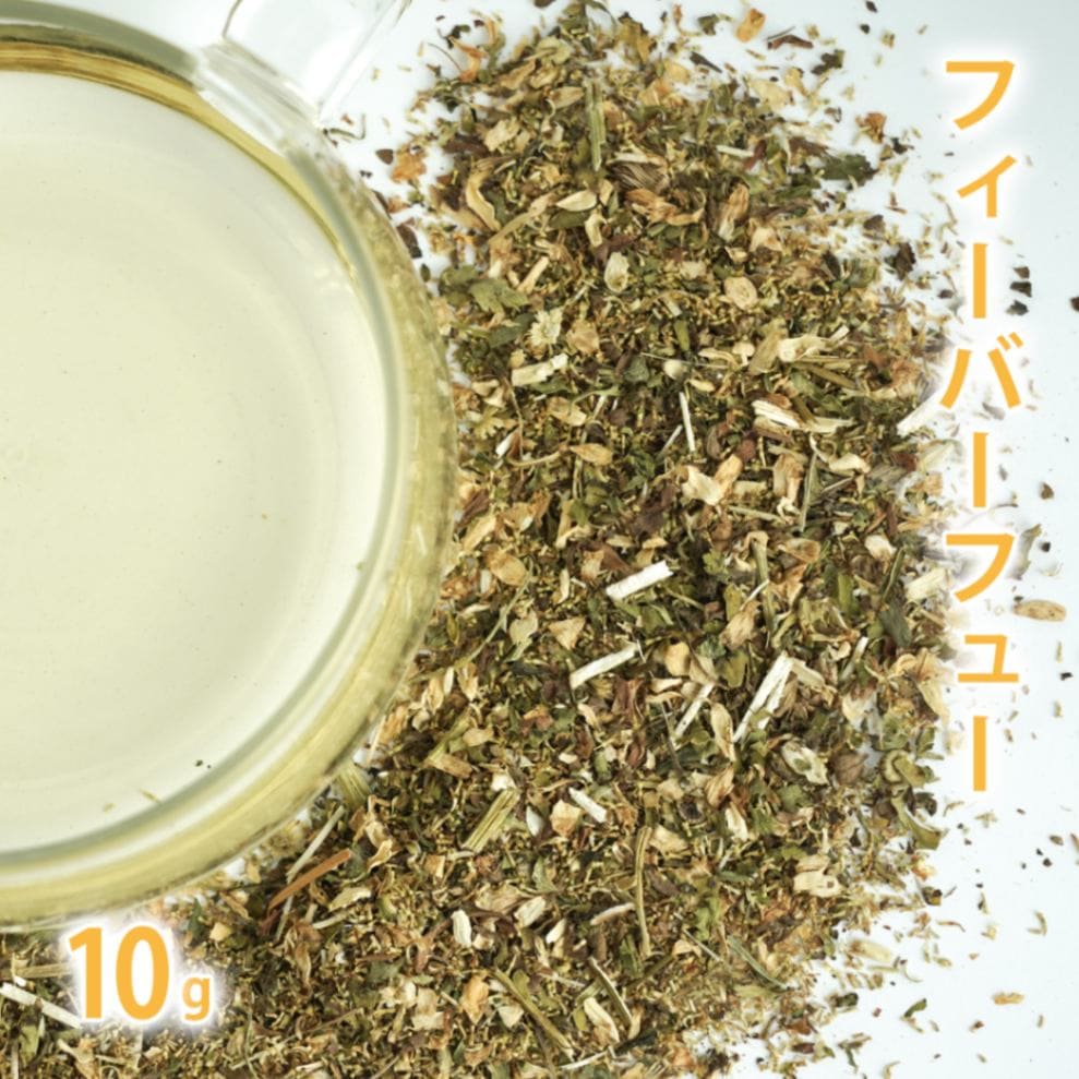 フィーバーフュー 10g単位 量り売り 【 夏白菊 ドライハーブ ハーブティー 】【ポストお届け可】