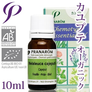 【レビューを書いて送料無料】［プラナロム］ カユプテ 10ml 【オーガニック】 【精油/エッセンシャルオイル/アロマオイル/アロマテラピー/健草医学舎/ケンソー】【tk】