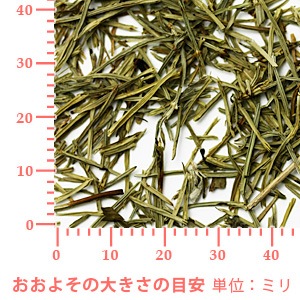 スギナ（ホーステール）野生種 50g 【ポストお届け可】