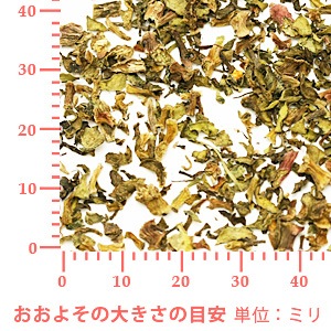 スベリヒユ 100g 【ポストお届け可】