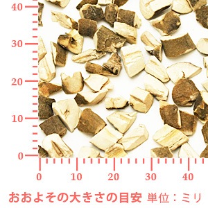ボタンピ 100g 【ポストお届け可】