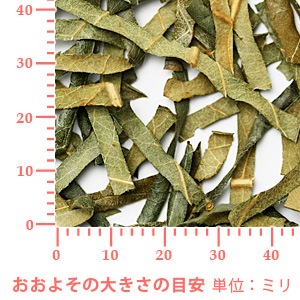 ビワ葉 10g 【ポストお届け可】