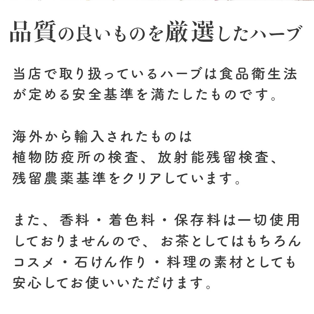 アップルピース [リンゴ] 100g単位 量り売り　【ドライハーブ ハーブティー アップルフルーツ】【ポストお届け可】