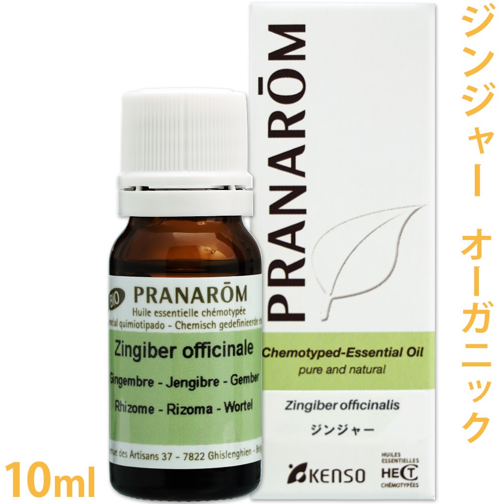 【送料無料】［プラナロム］ ジンジャー 10ml 【ショウガ 生姜】 【精油 エッセンシャルオイル アロマオイル アロマテラピー 健草医学舎 ケンソー】【tk】